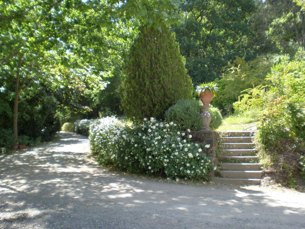 Quinta Da Vargem Unhais Da Serra Exterior photo
